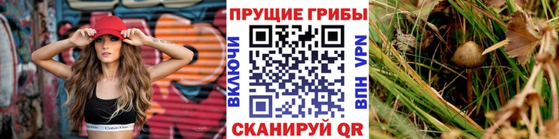 хочу   Ворсма  Галлюциногенные грибы MAGIC MUSHROOMS 